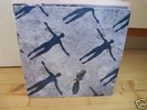 Muse Absolution Klappcover Doppelvinyl