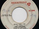 Top Rude Boy Tunes -TARTANS -Original MERRITONE -Listen