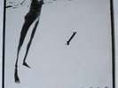 SCRATCH ACID 1984 Self-titled Rabid Cat LP Jesus Lizard