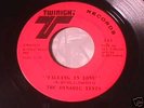 DYNAMIC TINTS Falling In Love NORTHERN SOUL 45 Hear