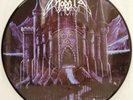 Morbid - December Moon PICTURE DISC