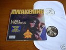 LORD FINESSE