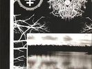 DROWNING THE LIGHT---to the end of time--LP-grey vinyl