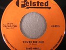 David Orrell Be My Baby/You’re The One Felsted 8515