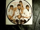 THE BEATLES BUTCHER COVER LTD PICTURE DISC