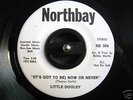 * LITTLE DOOLEY  NORTHERN MODERN SOUL 45 Hear