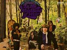 The Little Boy Blues Woodland Of Weir Rare Original LP