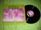 GTO's Permanent Damage LP