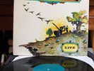PSYCHÉDÉLIQUE 13TH FLOOR ELEVATOR : LIve -1968 US Orig