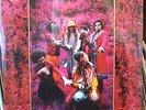 CAPTAIN BEEFHEART & MAGIC BAND Grow Fins V3 SEALED 2XLP