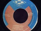 African Youth Forward Down a Channel One JA 45 Listen