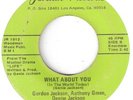 FUNK EXPLOITATION POETRY RAP  VERY RARE 45  ON JORDAN