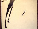 scratch acid rabid cat records 1984 vg+ condition