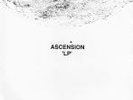 Ascension 'LP' (Skullflower)