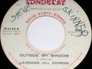 private TX garage PSYCH folk 45/LAVENDER HILL EXPRESS/?