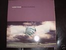 Modest Mouse 'The Moon & Antarctica' lp