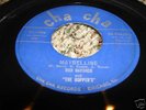 RARE ROCKABILLY 45/ RON HAYDOCK 
