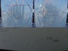 Chuck Ragan Plays Frankfurt 2xLP Vinyl HWM RARE MINT