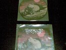 REPUGNANT - Premature Burial PIC 7