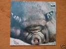 Kin Ping Meh No. Nr. 2 Original LP Zebra 1972 Krautrock