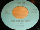 Big Ella-Too Hot To Hold-RARE FUNK SOUL 45 HEAR