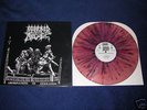 Morbid Angel 