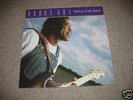Buddy Guy Feels Like Rain LP (1993)