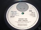 DADDY LONGLEGS-OAKDOWN FARM RARE VERTIGO/SWIRL SUPERB+