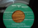Dave Holbrook: California Hippies  Psych Garage 45 HEAR