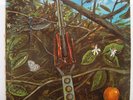 DRAGONFLY s/t Rare Psych/Fuzz Megaphone Records