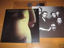 TINDERSTICKS Simple Pleasure vinyl LP SIMPLY VINYL