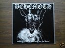 Behemoth - Sventevith LP 95