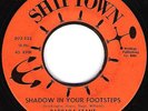 Barbara Stant...Shadow In Your Footsteps  Shiptown Soul