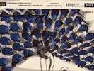 STRAVINSKY SYMPHONY IN C/IN 3 MOVEMENTS - DECCA SXL2237