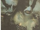 IMMORTAL ----blizzard beast  - LP-- rare