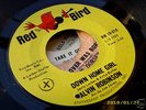 alvin robinson - gritty soul funk break on RED BIRD mp3