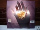Rare Madonna Bedtime Story Holograme Sleeve( W 0285TX )