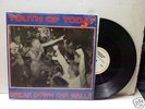 Youth Of Today Break Down The Walls punk LP wishingwell