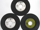 THE IDES OF MARCH-3 Rare Promo Only 45's-JIM PETERIK