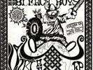 bleach boys 