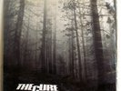 THE CURE-A FOREST-FICTION UK 12
