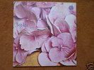Still Life Same Original  Vertigo LP Progressive 1970