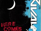 THE RIVALS - HERE COME´S THE NIGHT 7
