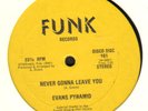 EVANS PYRAMID DIP DROP RARE 12