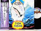 (GONG) STEVE HILLAGE fish rising JAPAN orig LP rare