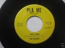 THE OCEANS - SHE'S GONE*PLA ME*RARE OHIO GARAGE HEAR
