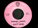 BILLY LAND 