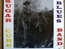 SUGAR CUBE BLUES BAND RARE GARAGE PSYCH ROCKADELIC LP M