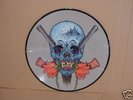 RARE METALLICA EVIL NEVER DIES PICTURE DISC LP