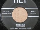 OHIO GARAGE SURF 45 - TEDDY & ROUGH RIDERS - TILT LABEL